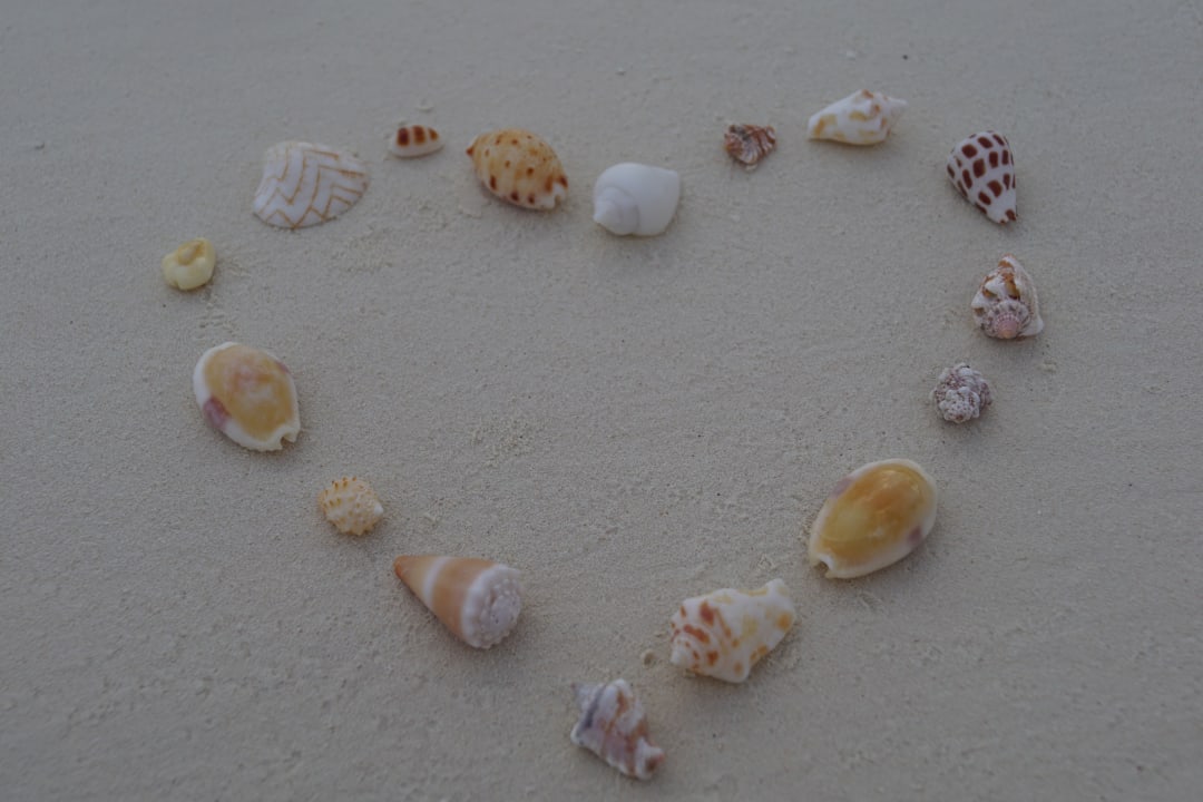 Strand Adaaran Select Meedhupparu Island Resort - Premium All Inclusive