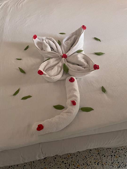 Zimmer Pickalbatros Vita Resort - Portofino Marsa Alam
