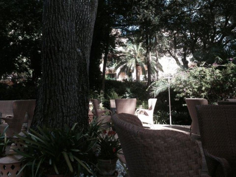 Die Terrasse im Garten Lago Garden