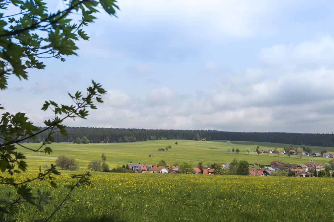 Ausblick Landpension Pferdekoppel