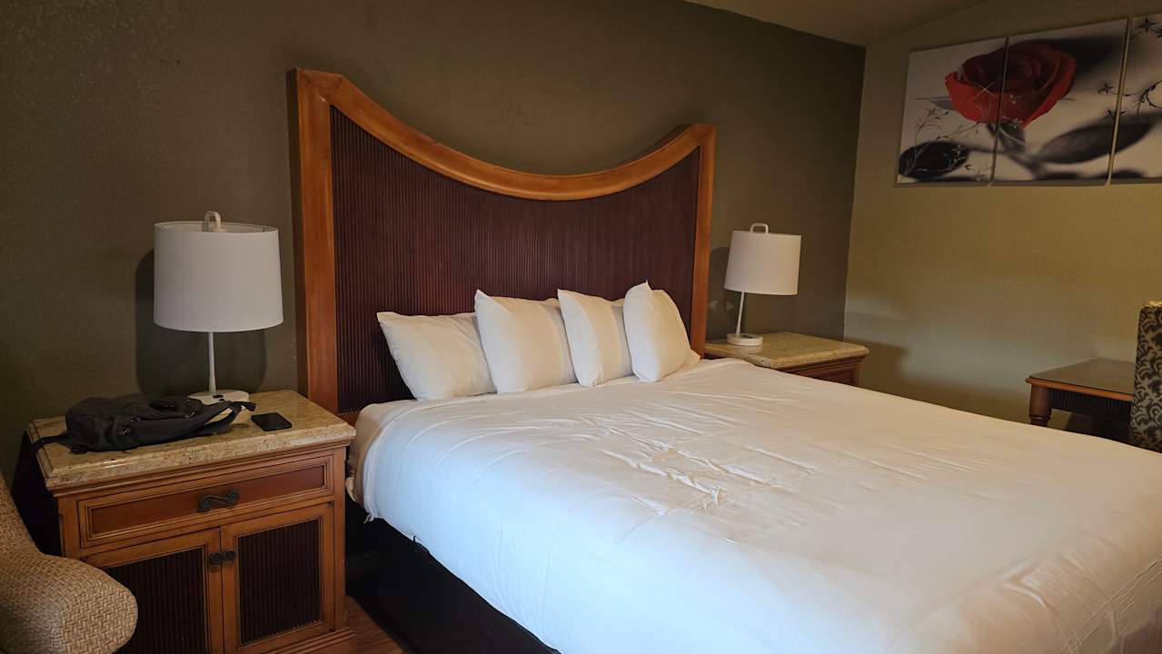 Zimmer The INN ON 66