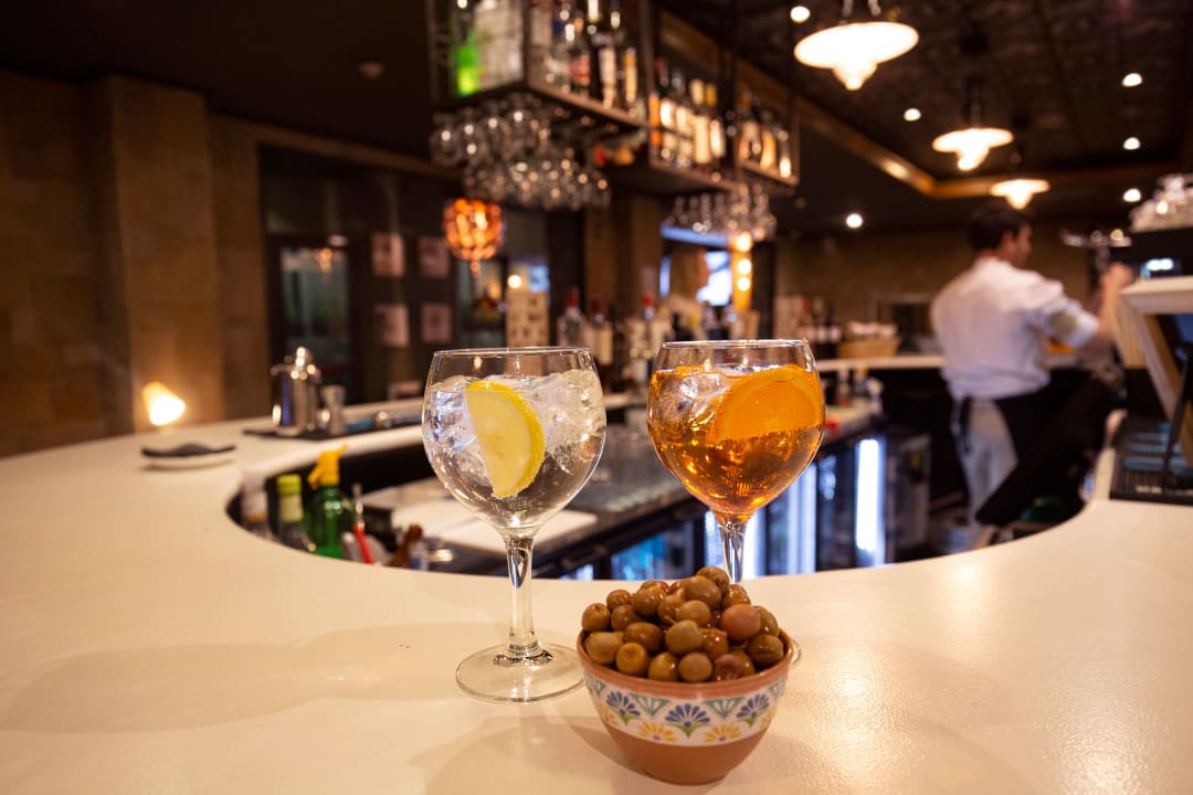 Gastro Hotel Camel·lot