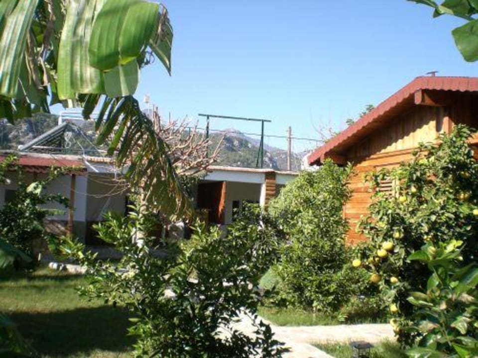 Garten Hotel Rüya Pansion