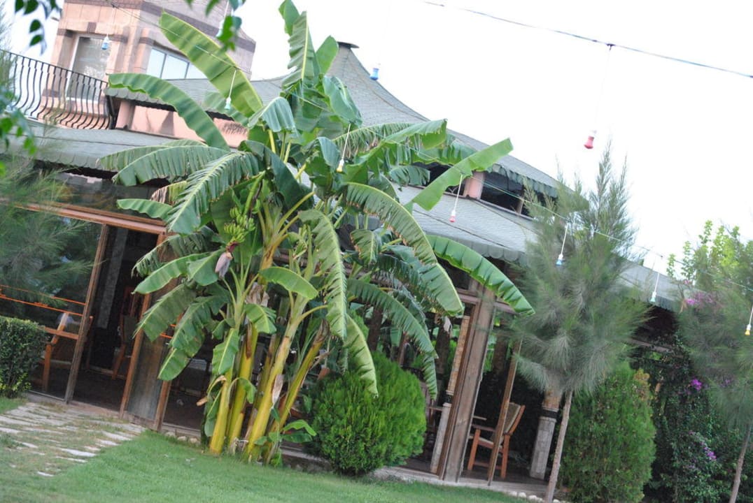 Garten vor Disco Belek Beach Resort Hotel