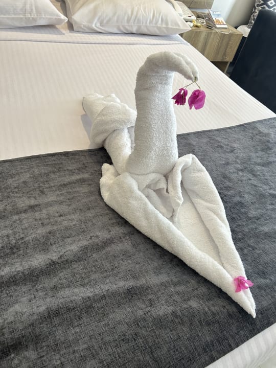 Zimmer Seagull Beach Resort