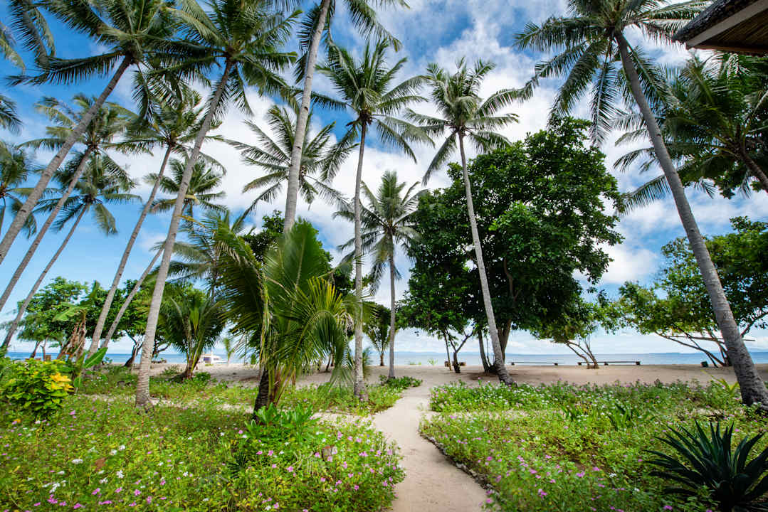 Gartenanlage Metita Beach & Dive Resort