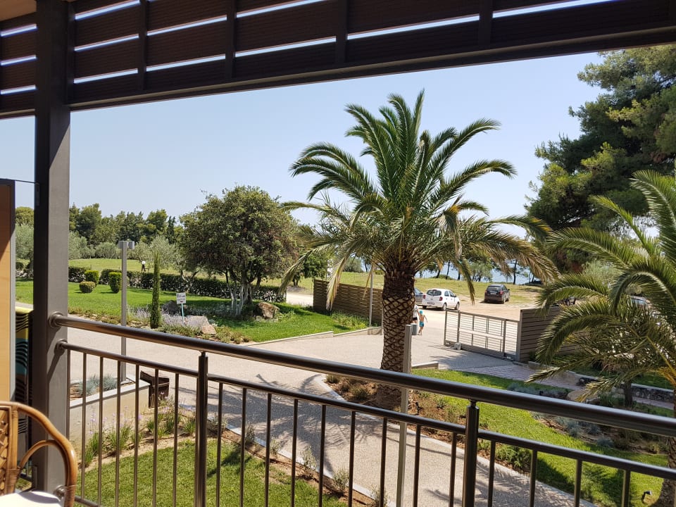 Ausblick Blue Dolphin Resort Hotel