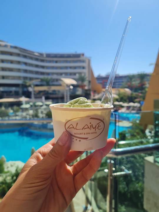 Gastro Alaiye Resort & Spa