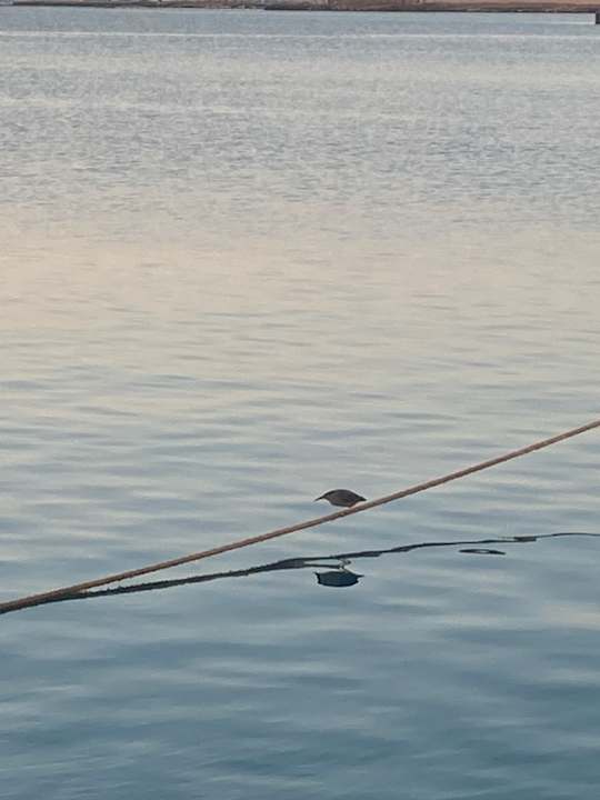 Außenansicht The Grand Palace - Adults only