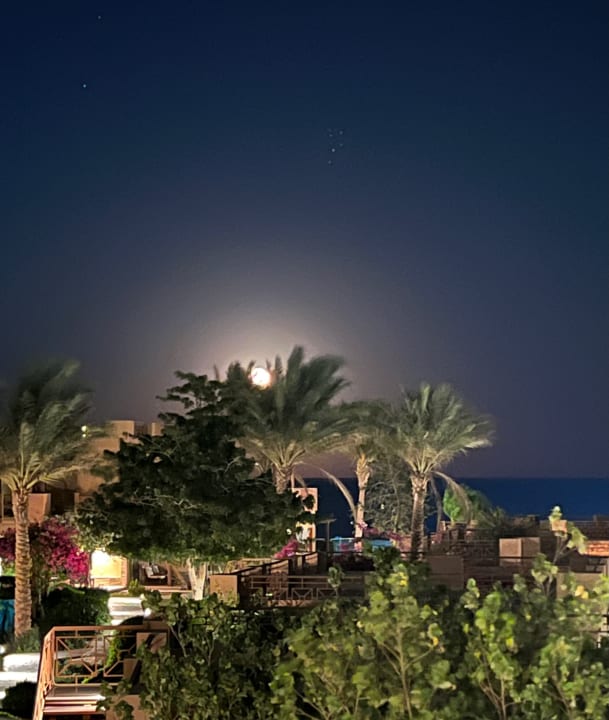 Ausblick Shams Prestige Abu Soma-Adults Only