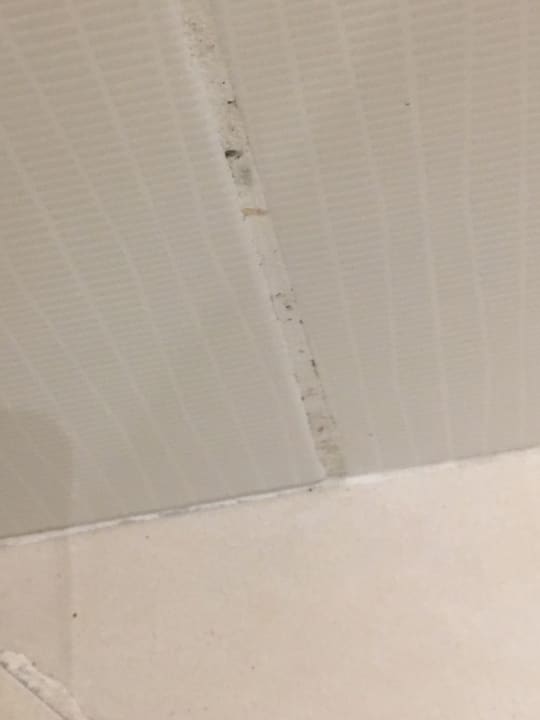 Zimmer Kamelya Aishen Club