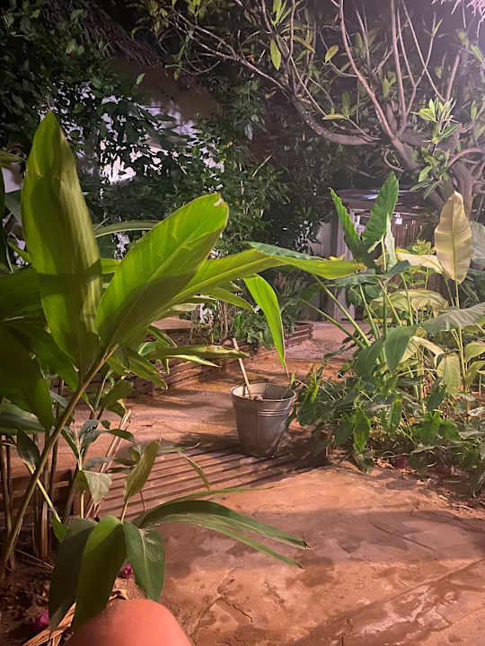 Ausblick Badolina Bungalows