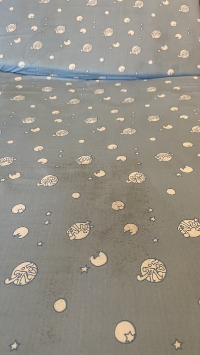 Zimmer Ferienwohnungen Ferienpark Weissenhäuser Strand