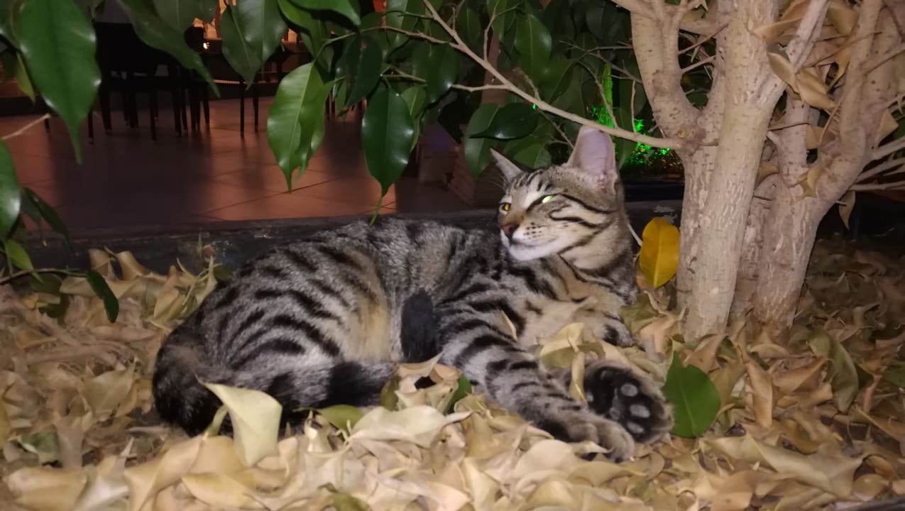 Sonstiges Dream World Aqua Hotel