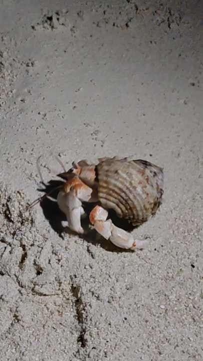 Sonstiges Summer Island Maldives