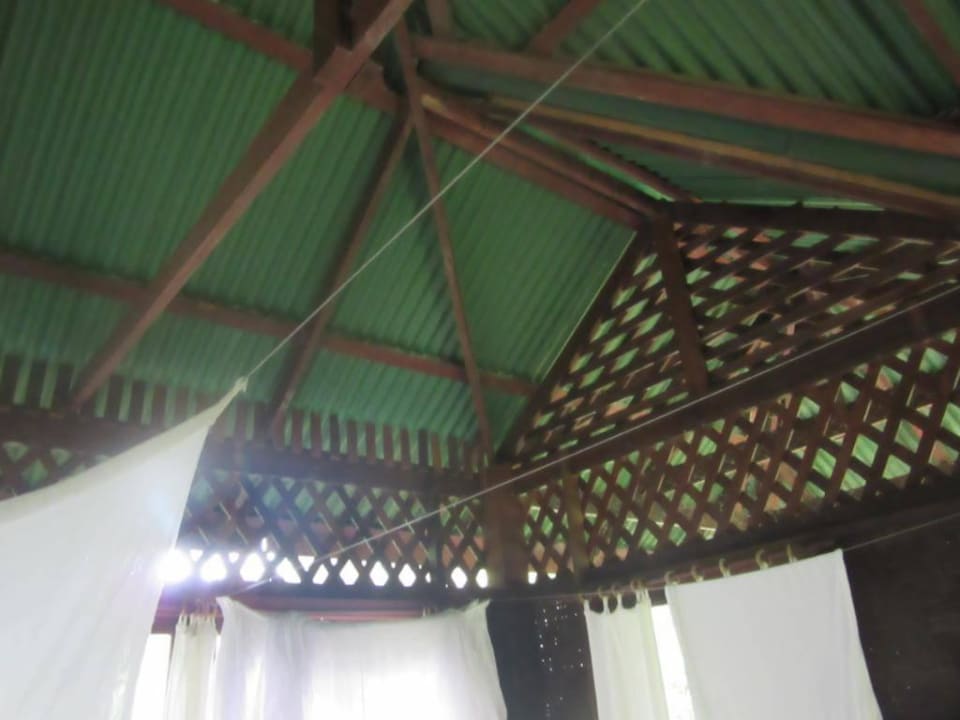 Zimmer Our Jungle House