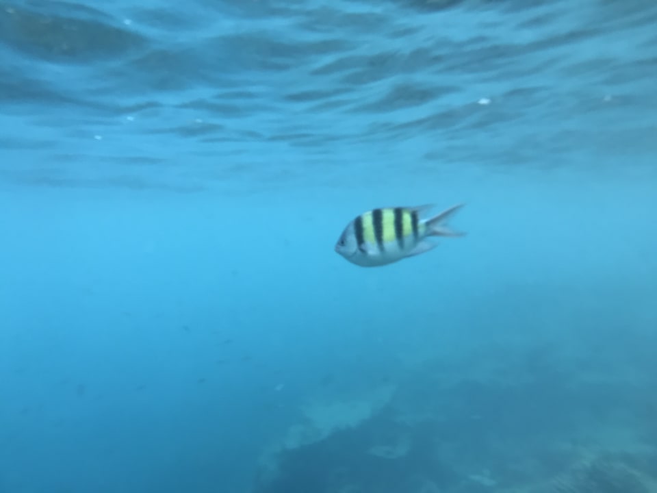 Sport & Freizeit ROBINSON MALDIVES