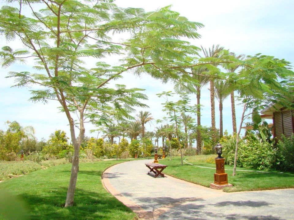 Wunderschöne Gartenanlage Steigenberger ALDAU Beach Hotel
