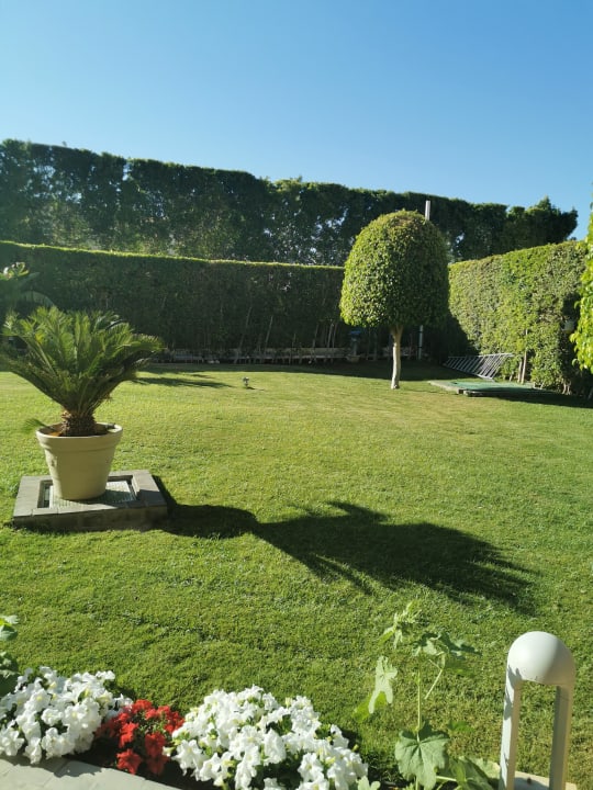 Garten Pickalbatros Palace Resort