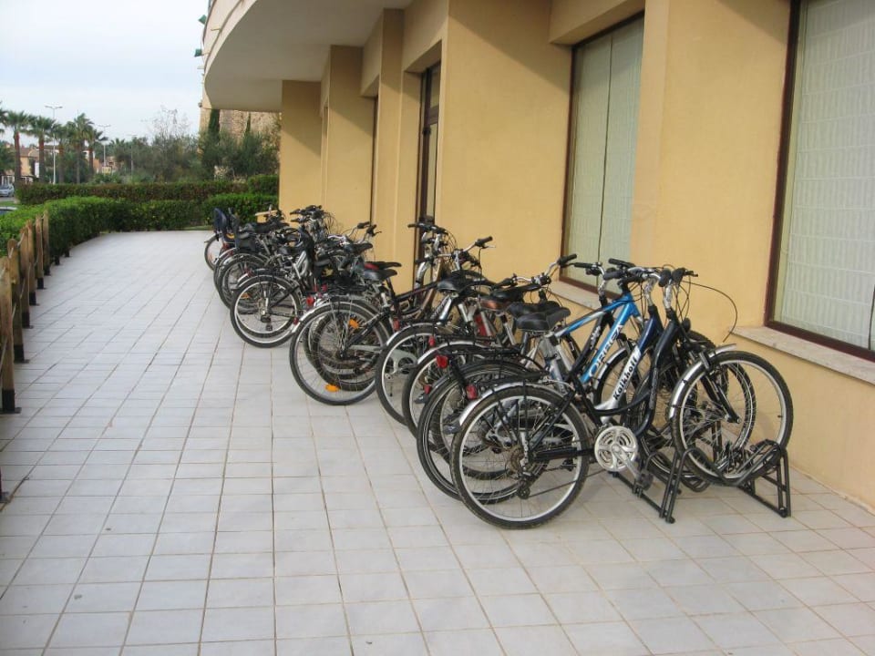 Fahrräder allsun App.-Hotel Orient Beach