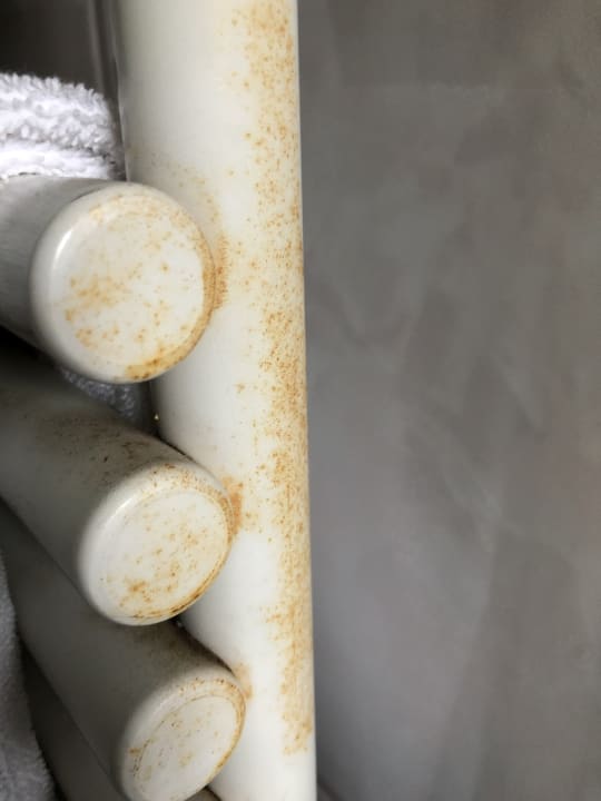 Zimmer Hotel Traube am See