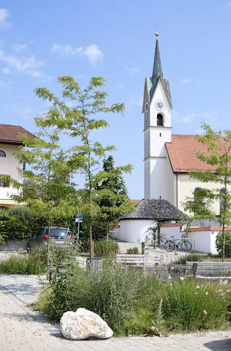 Ausblick Ferienwohnung Alpenblick