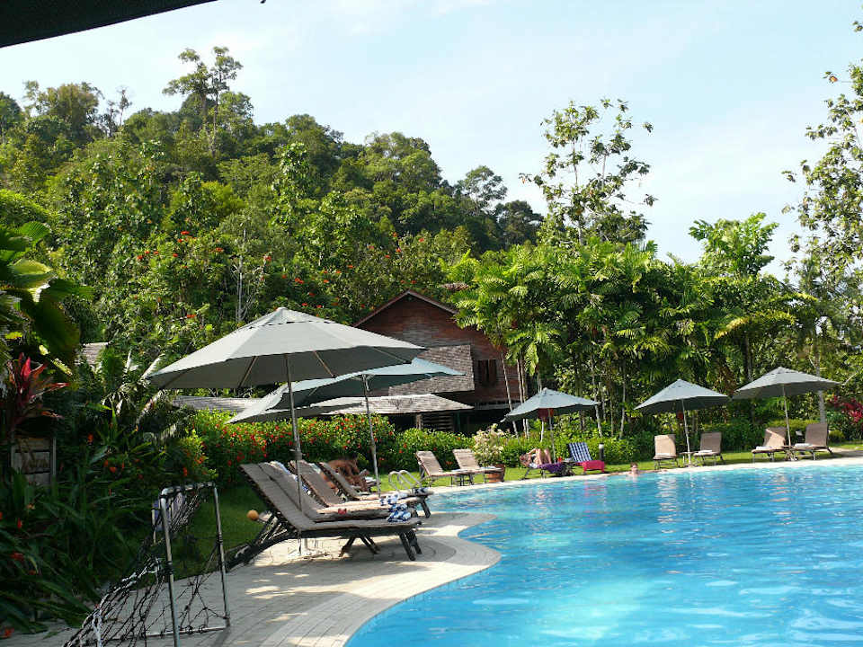 Pool Aiman Batang Ai Resort & Retreat