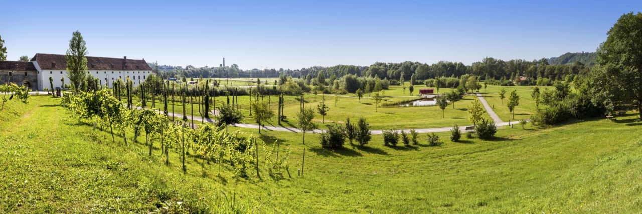 Ausblick Hotel Staribacher Südsteiermark