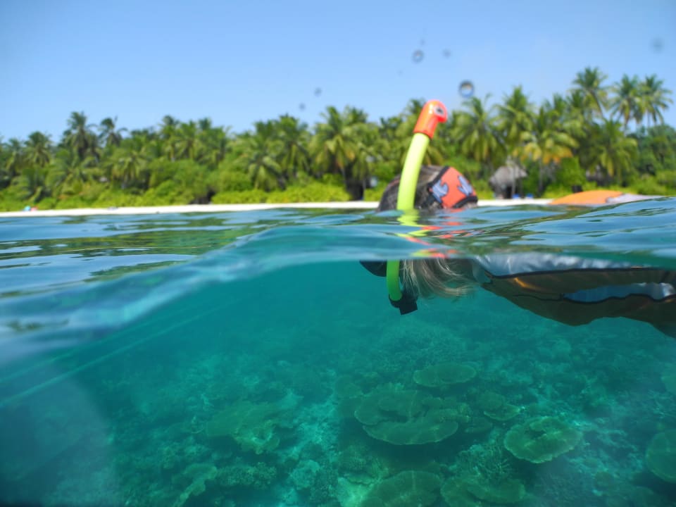 Schnorcheln Angaga Island Resort