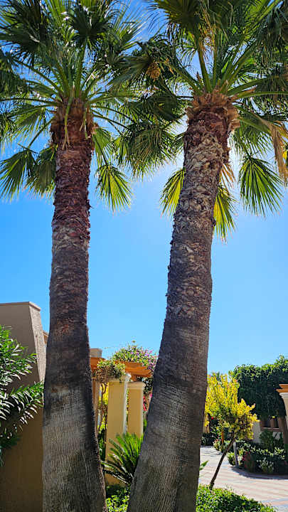 Gartenanlage Atrium Palace Thalasso Spa Resort & Villas