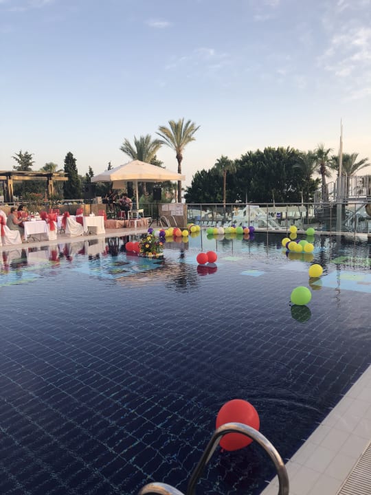 Pool Sealife Buket Resort & Beach