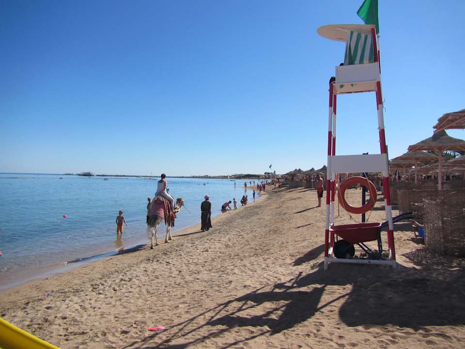 Вид на пляж Jaz Makadi Oasis Resort