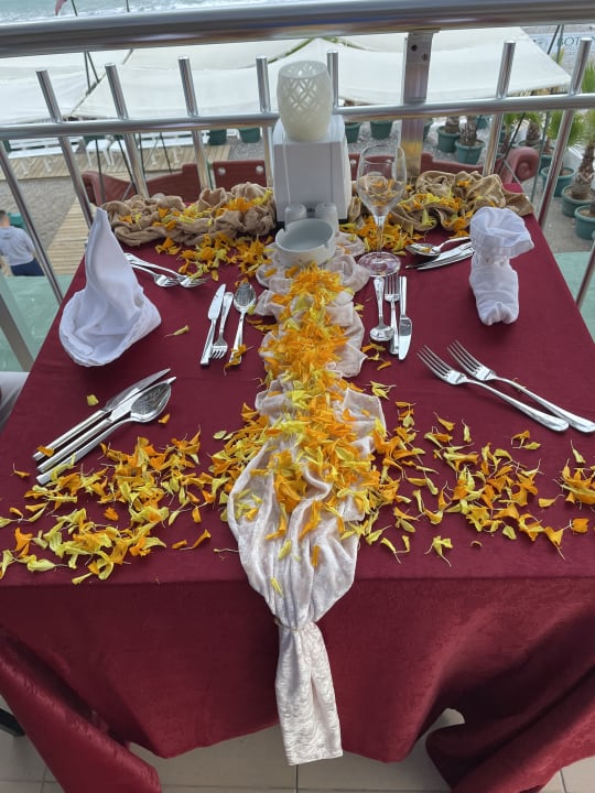 Gastro Hotel Botanik Platinum