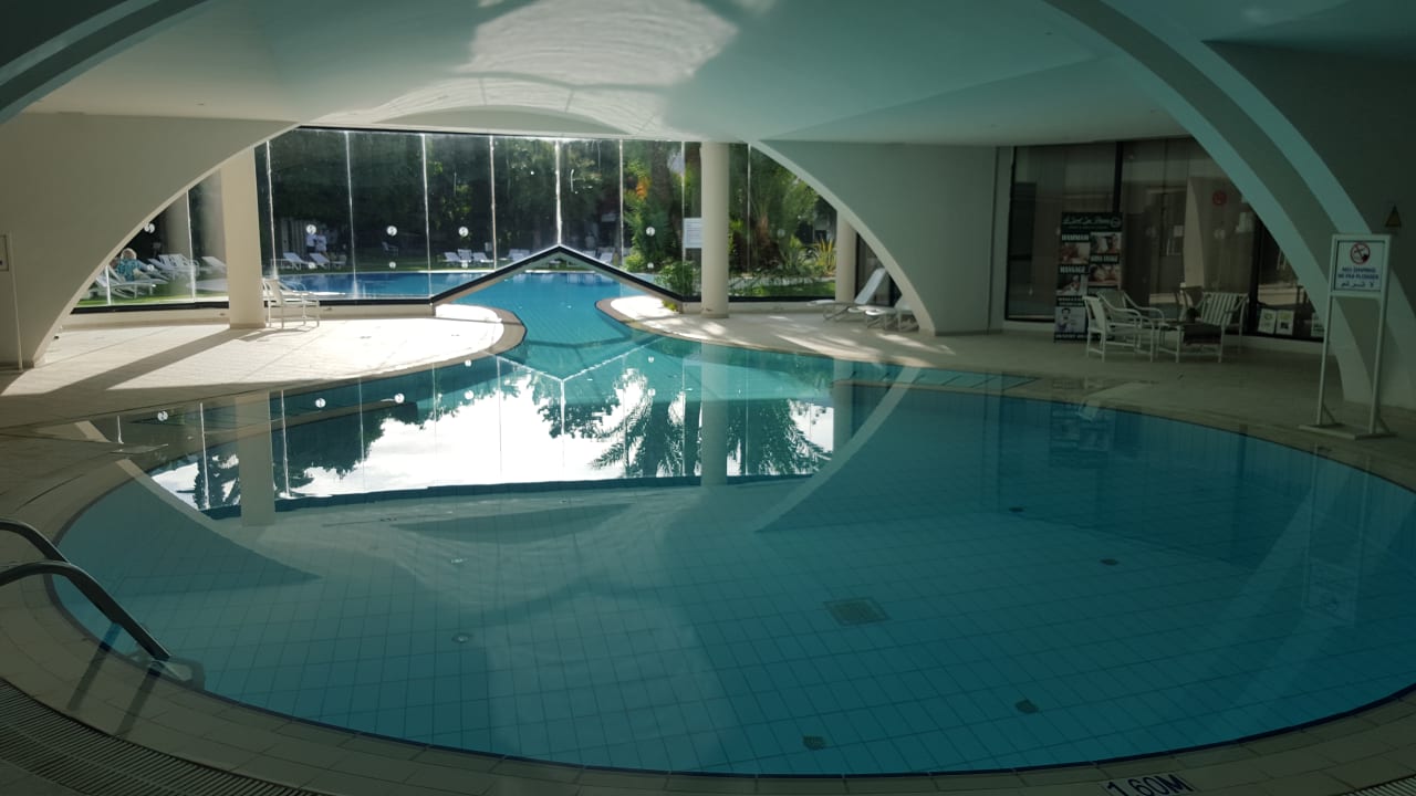 Pool Sentido Phenicia