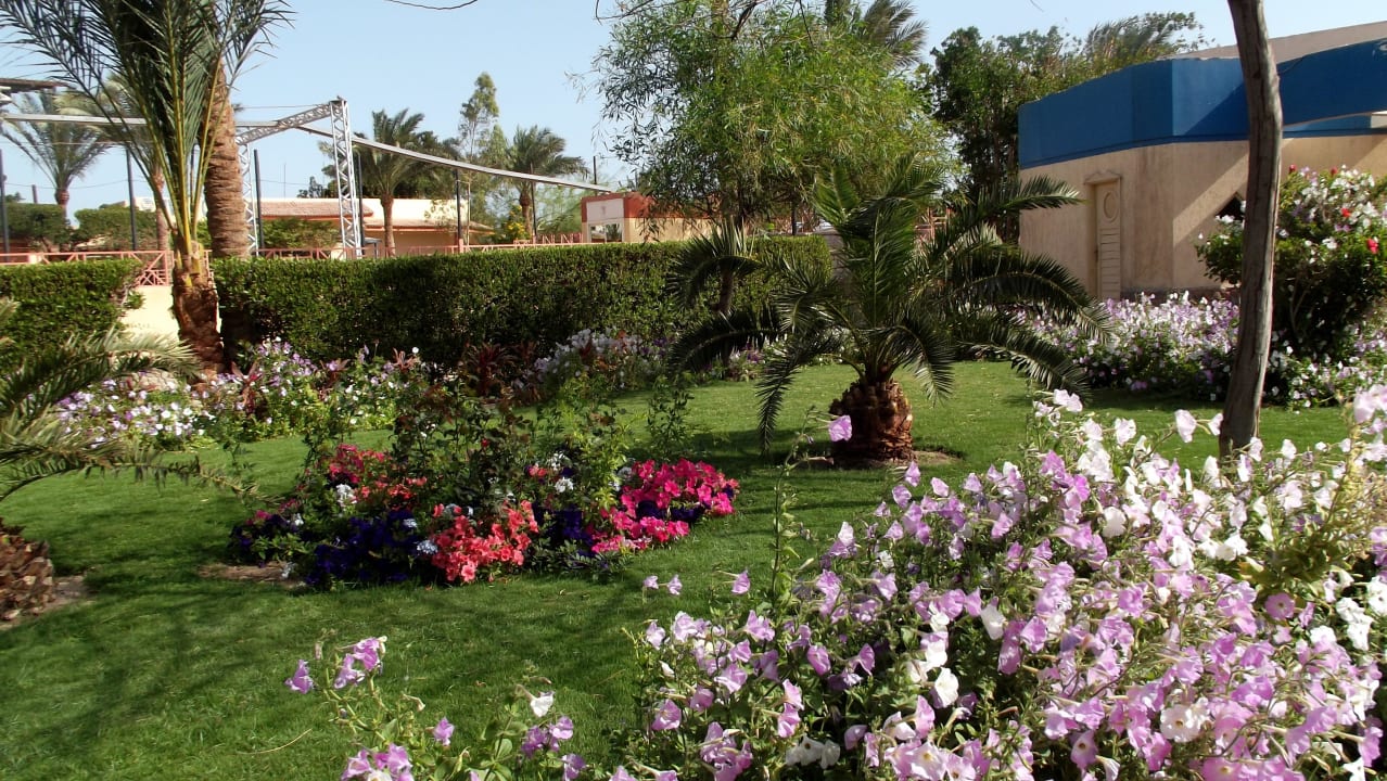 Gartenanlage immer sauper Seagull Beach Resort