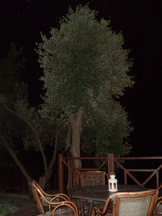Am Abend Ladonia Hotels Adakule