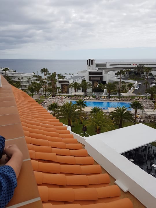 Zimmer Hotel Riu Arecas - Adults only