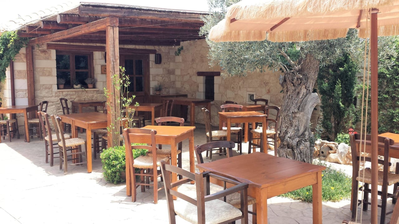 Kafenion Cactus Royal