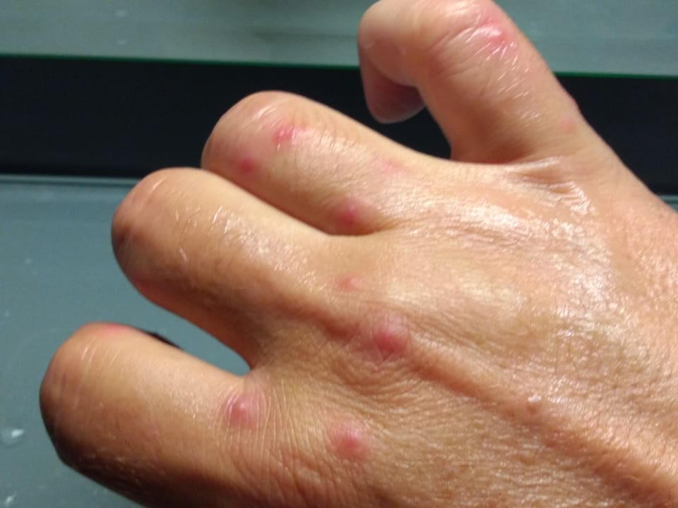 Zimmer Steigenberger Hotel Bad Homburg