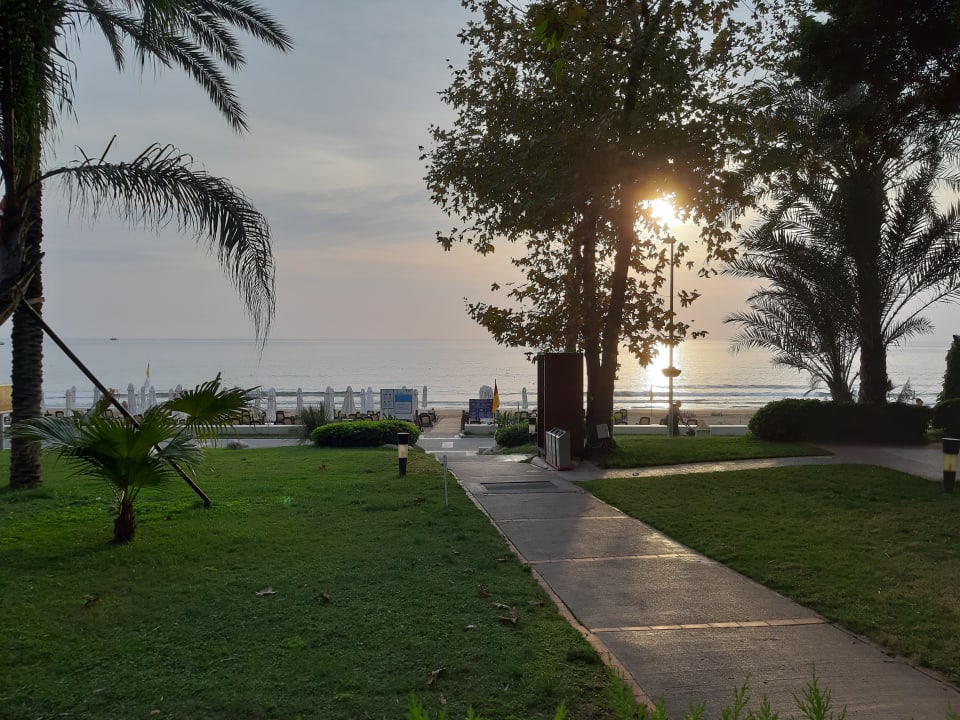 Gartenanlage Side Star Elegance