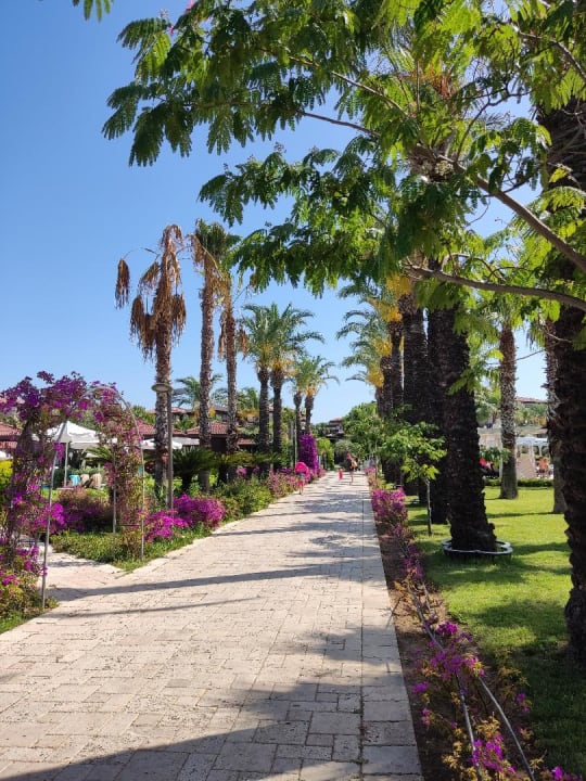 Außenansicht Calimera Serra Palace