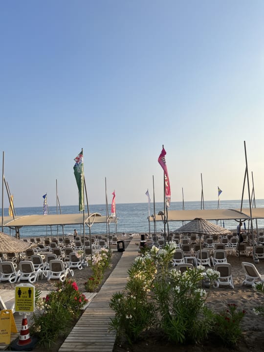 Strand Arycanda Kirman Premium