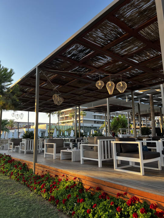 Gastro Acanthus Cennet Barut Collection