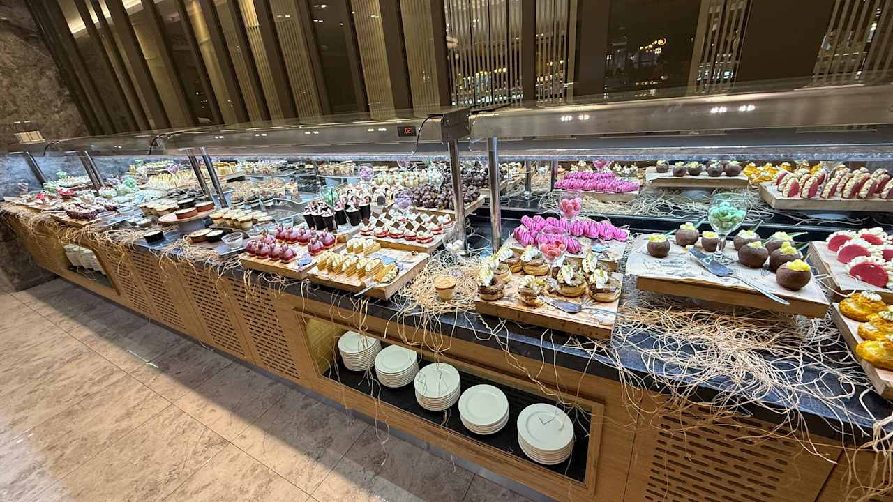 Gastro Seashell Vega