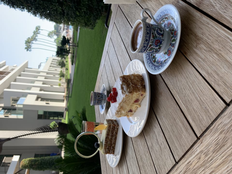 Gastro Acanthus Cennet Barut Collection