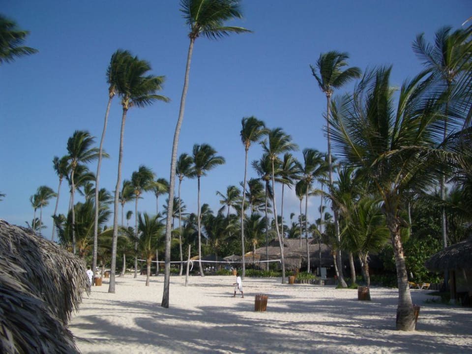 Strand Iberostar Waves Punta Cana