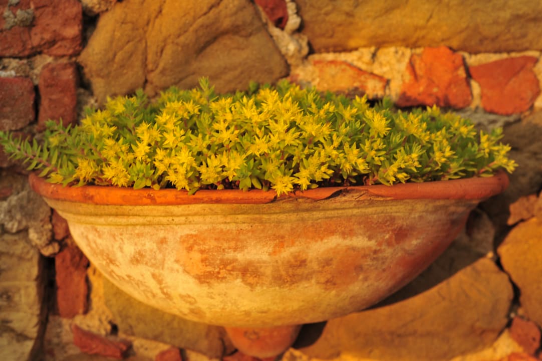 Gartenanlage Ventena Vecchia antico frantoio