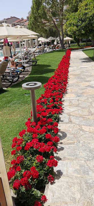 Gartenanlage Arum Barut Collection