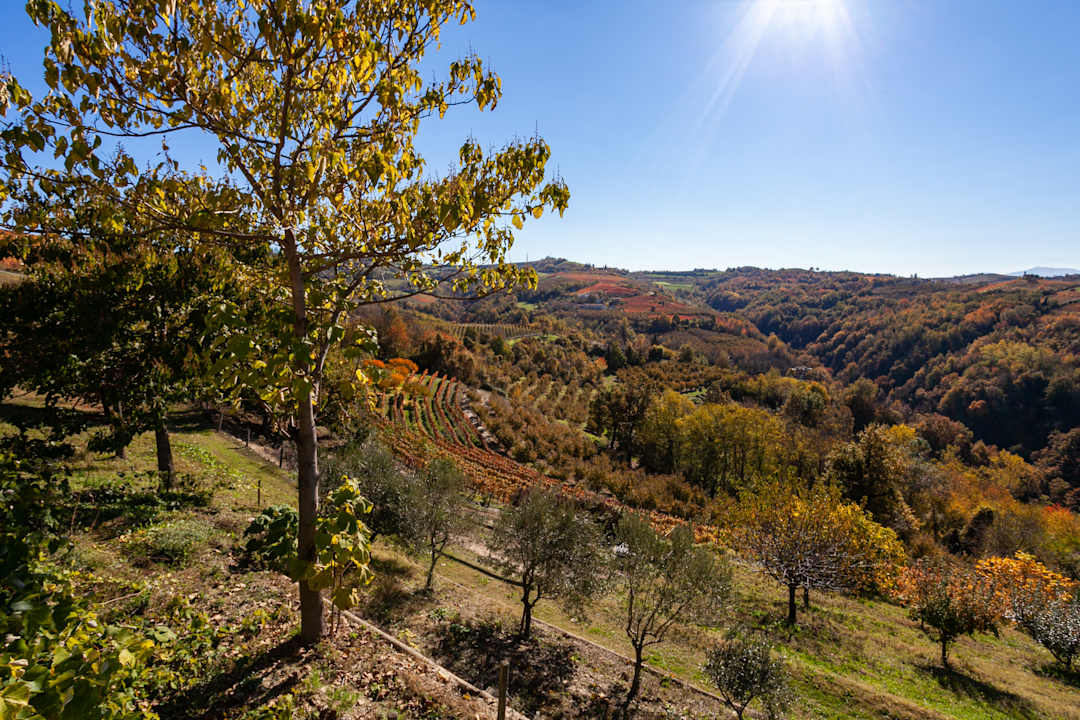 Außenansicht Agriturismo Bevione Davide