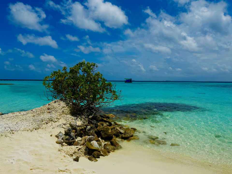 Strand Adaaran Select Meedhupparu Island Resort - Premium All Inclusive